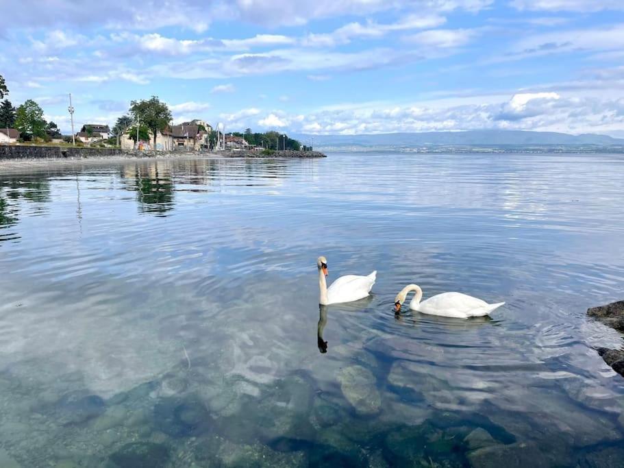 Apartmán L'Escale Du Leman Publier Exteriér fotografie