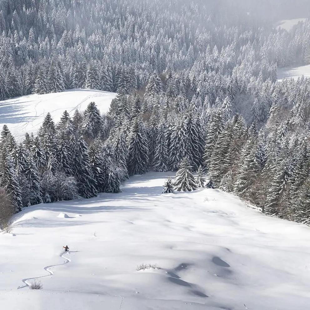 Apartmán L'Escale Du Leman Publier Exteriér fotografie